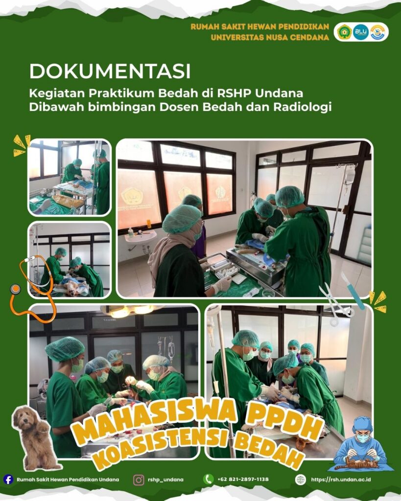 Berita-3-Februari